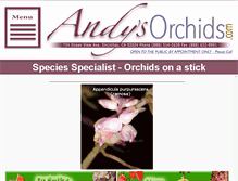 Tablet Screenshot of andysorchids.com